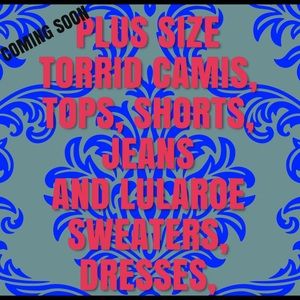 3x tops and 16 18 Torrid bottoms